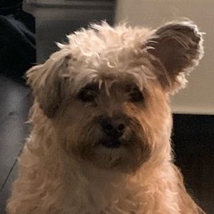 Meet your Posher, Nick